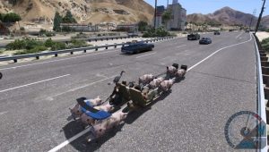 A funny vehicle with running pigs fun to drive